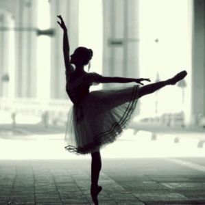 Meet your Posher, Chandler